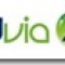 3dvia – What is it?